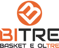 Logo_BITRE